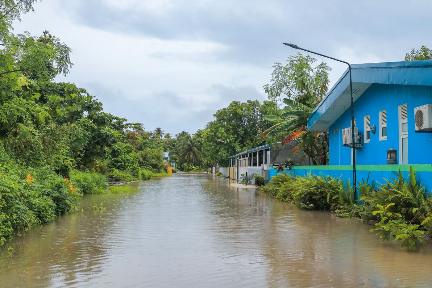 বন্যার পানি নামায় ঘরে ফিরছে মানুষ