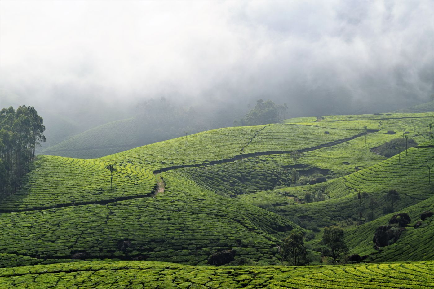 পর্যটন মৌসুমে প্রস্তুত পাহাড় আর জলাভূমি