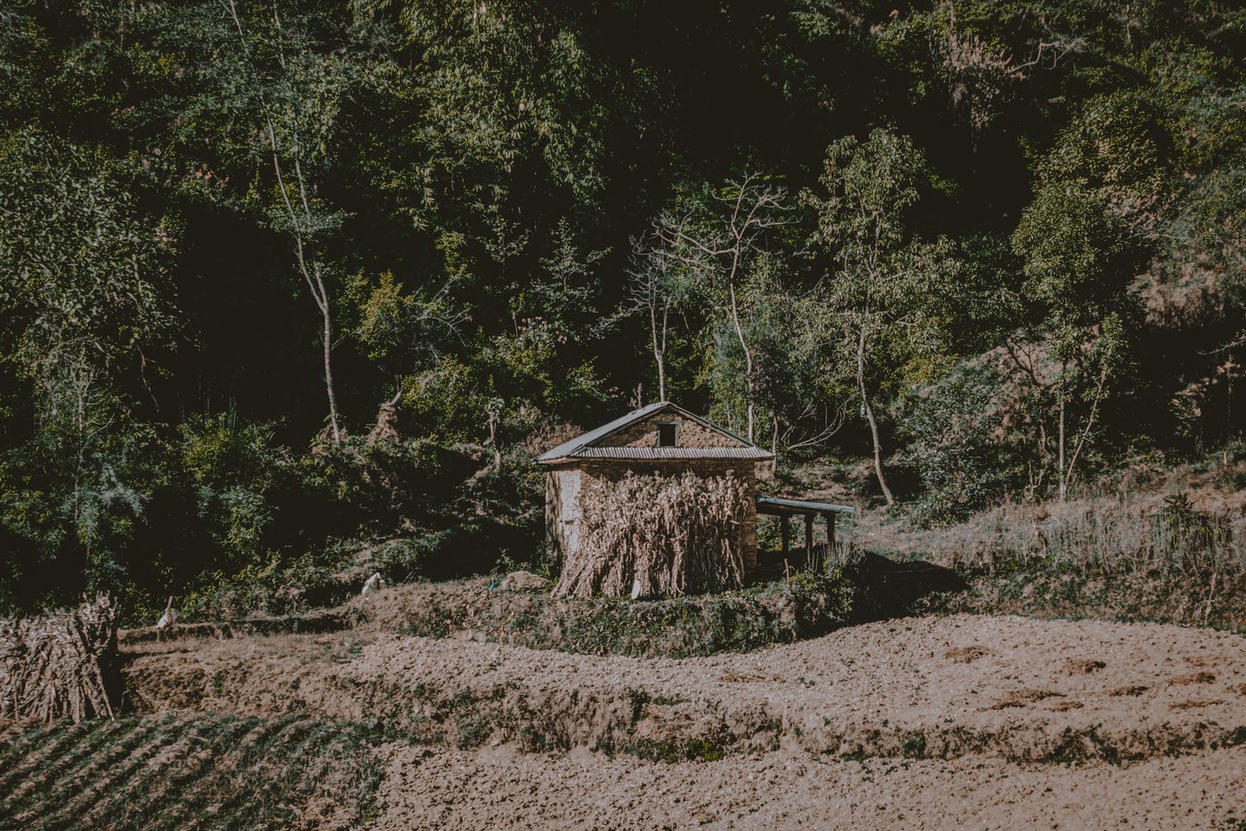 শীতার্তদের পাশে স্বেচ্ছাসেবী তরুণেরা